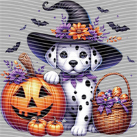 Halloween-WS 5775